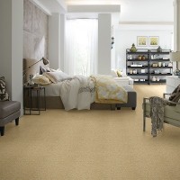 Affordable Carpet